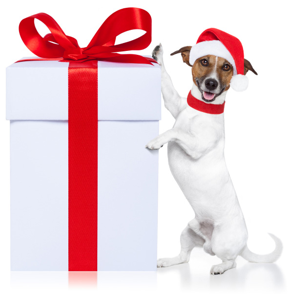 Christmas Presents for Pets? - Allergic Pet Blog